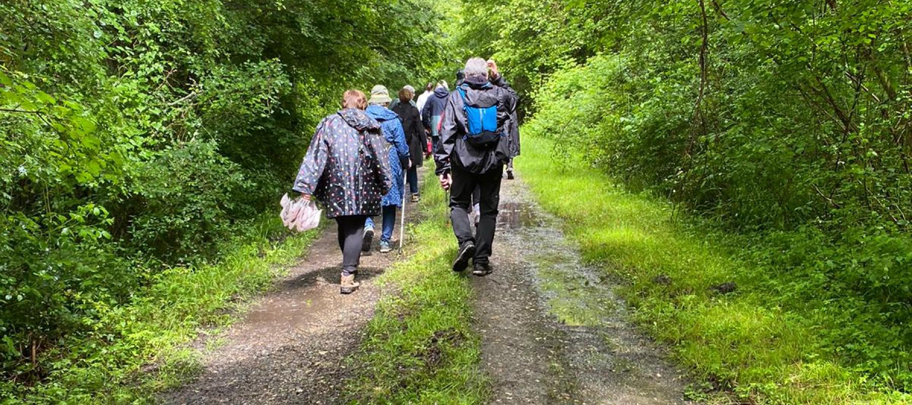 Chemin arborée emprunté lors de la balade sur le site Natura 2000 de la Gélise